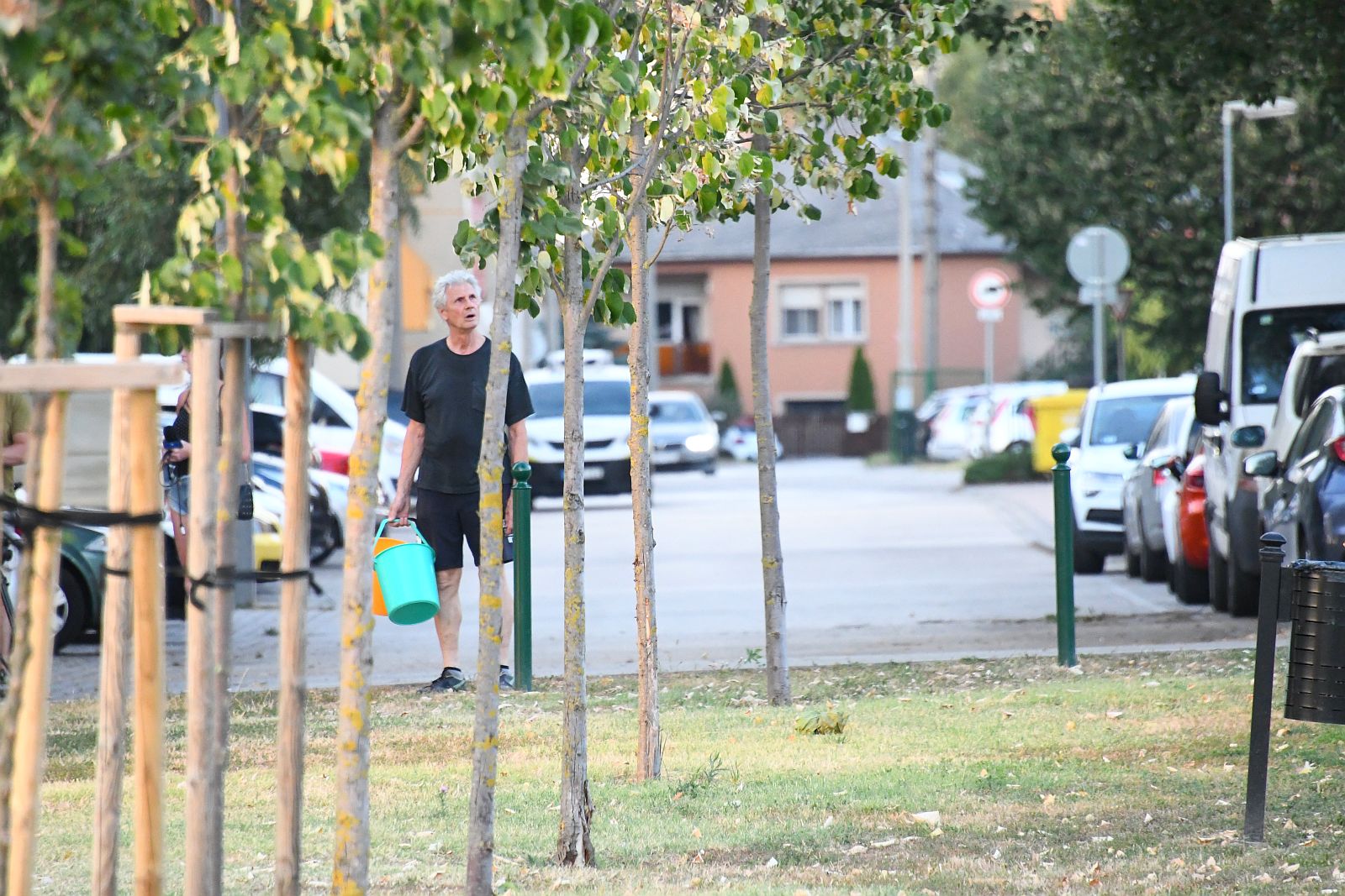 Közösségi öntözés a Palotavárosi tavaknál